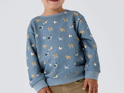 Name It sweatshirt spring lake meleret med hunde